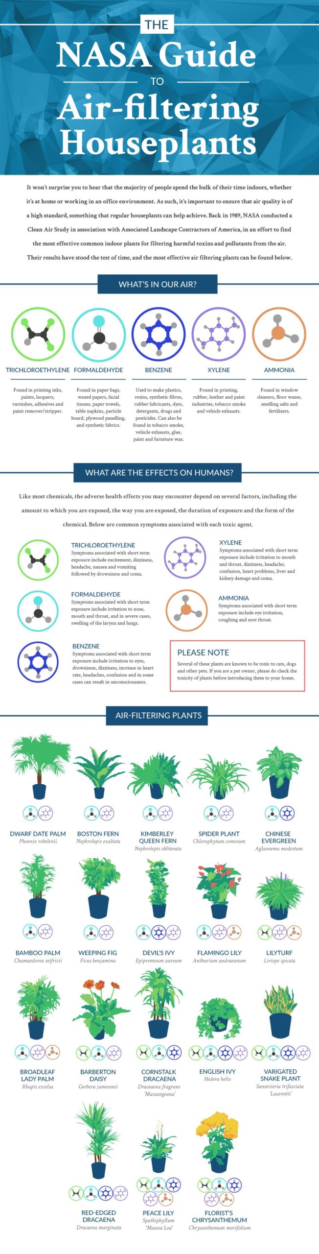 Nasa infographic on Best Air-Purifying Plants For Office